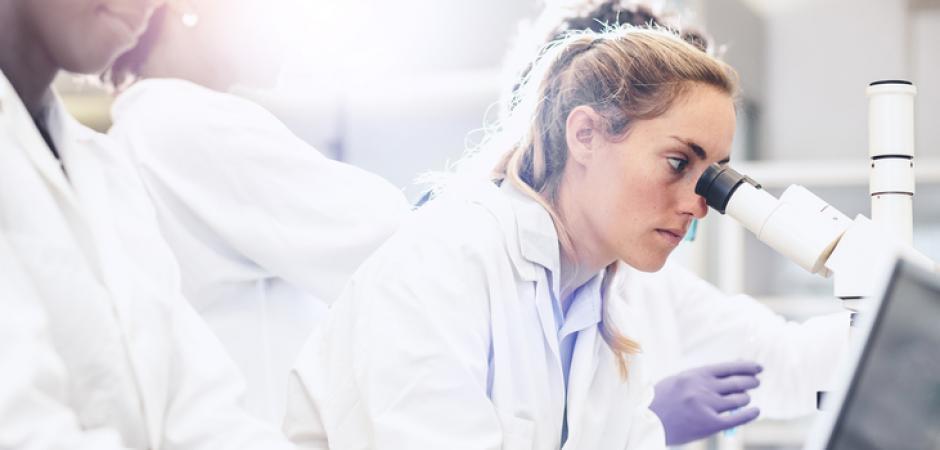Laboratory Laboratory
